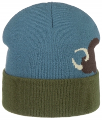 Caciula din acril Beanie Buffalo - Stetson